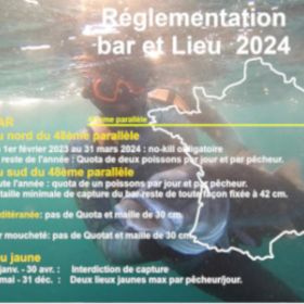 Reglementation Bar 2024 mini