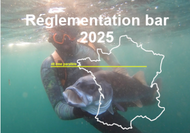 Reglementation Lieu et bar 2025