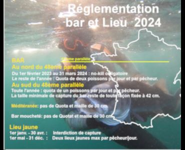 Reglementation Bar 2024 mini